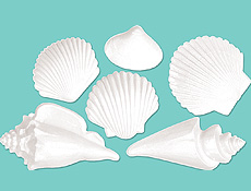 White Plastic Seashells